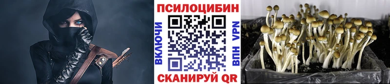 Галлюциногенные грибы Cubensis  Вихоревка 
